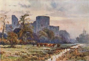 Castello di Pevensey dai prati