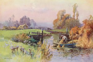 Fiume Tamigi: Canale Laterale al Wey