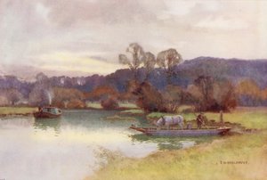 Fiume Tamigi: Vista dei boschi di Nuneham