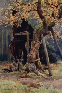 La dispensa di Robin Hood (litografia a colori)