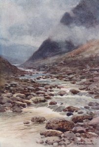 Tavy Cleave da Ernest William Haslehust