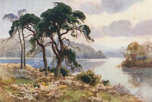 Virginia Water da Ernest William Haslehust