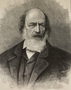 Ritratto di Alfred Tennyson, poeta britannico, incisione di Ernesto Mancastroppa da una fotografia di Barraud da Ernesto Mancastroppa