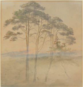Pini nella Nebbia del Mattino da Ernst Ferdinand Oehme