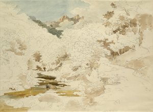 Bosco vicino a Massa da Ernst Fries