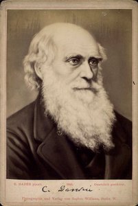 Charles Darwin, naturalista britannico da Ernst Hader