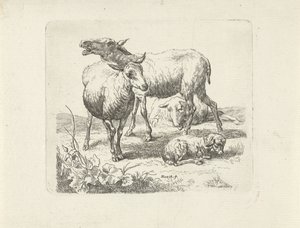 Tre pecore e un agnellino in un prato da Ernst Ludwig Creite