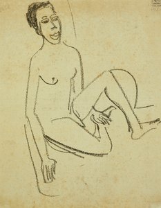Ragazzo nudo