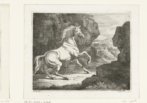 Cavallo bianco che salta da Ernst Willem Jan Bagelaar