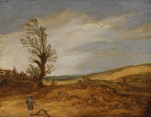 Una vista nelle dune