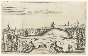 Balena arenata sulla spiaggia di Noordwijk, 1614