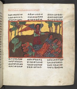 Or. 607 f058r, Scena della vita della Vergine Maria, da 
