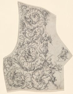 La piastra posteriore di un