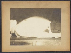 Marey in uno studio sulla respirazione da Etienne Jules Marey