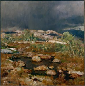 Pioggia torrenziale nella brughiera norvegese da Eugen Felix Prosper Bracht