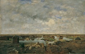 Grande paesaggio di brughiera