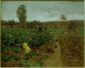 Campo di zucche da Eugen Jettel