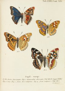 Die Schmetterlinge, 1777-1794 da Eugen Johann Christoph Esper
