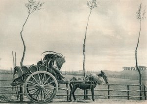 Portatore di vino nella Campagna, Roma, Italia, 1927 da Eugen Poppel