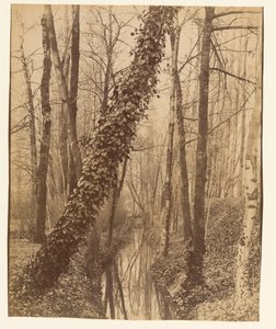  da Eugène Atget