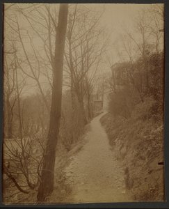 Père Lachaise, sentiero delle capre da Eugène Atget