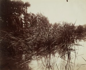  da Eugène Atget