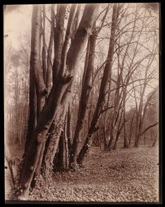  da Eugène Atget