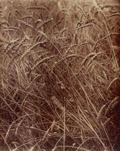  da Eugène Atget