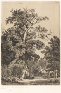 Quercia antica nel Bois de Boulogne da Eugene Bléry