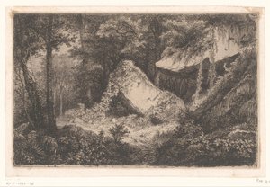 Rocce coperte di vegetazione in una foresta