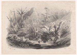 Piante lungo un ruscello da Eugene Bléry