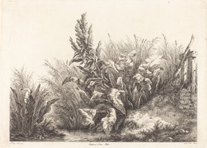 Studio di una pazienza-dock da Eugene Bléry