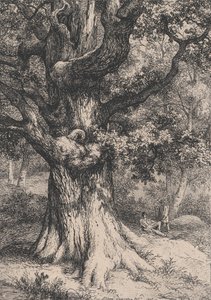 Il Carlo Magno, Quercia con un nido d