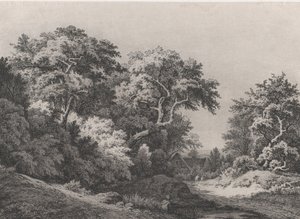 Il Bordo del Bosco, vicino a Rambouillet da Eugene Bléry