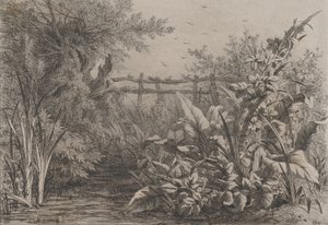 Lo stagno da Eugene Bléry