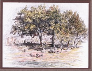 Frate Juniper taglia il piede di un maiale per darlo a un malato