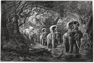 In viaggio nella foresta, la spedizione viaggia sul dorso di un elefante. Incisione di Eugene Burnand, per illustrare la storia "Viaggio nell
