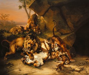 Combattimento di tigri e leoni
