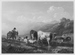 Attraversando il ruscello