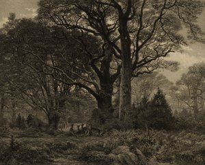 Foresta di Fontainbleau