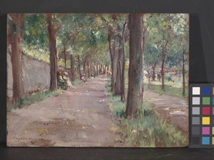 Scena di strada
