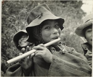 Peruvian Flute da Eugene V. Harris