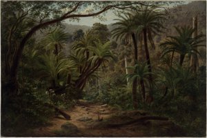 Ferntree Gully nelle Dandenong Ranges