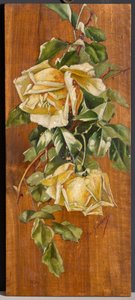 Rose gialle da Eugenio De Giacomi
