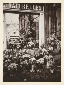Boutique Fleurs -37 (Negozio di fiori)