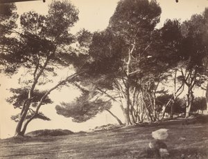 Cannes, Ile Saint Honorat da Eugène Atget