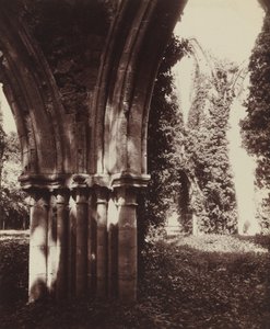 Dammarie-les-Lys, rovine