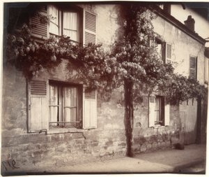 Glicine, Châtillon da Eugène Atget