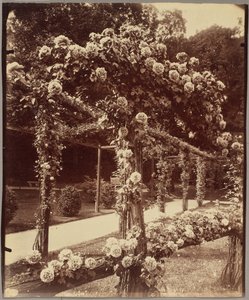 [Jardin de Bagatelle] da Eugène Atget