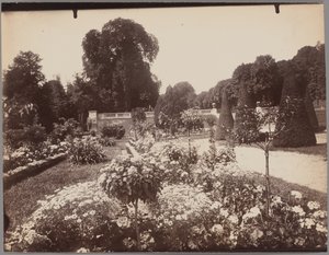 Saint-Cloud da Eugène Atget